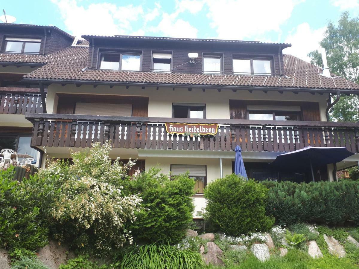 Haus Heidelberg Apartman Feldberg  Kültér fotó